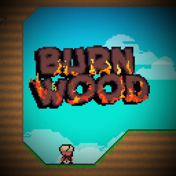 Burnwood Puzzle